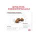 ROYAL CANIN Cat food for digestive disorders bird 2kg - Buy Online on GoSupps.com