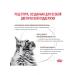 ROYAL CANIN Cat food for digestive disorders bird 2kg - Buy Online on GoSupps.com