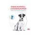 ROYAL CANIN Little breeds feed for food allergies 1 kg - Buy Online on GoSupps.com