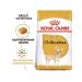 ROYAL CANIN Adult dog foods of the chihuahua 3kg breed - Buy Online on GoSupps.com
