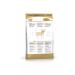 ROYAL CANIN Adult dog foods of the chihuahua 3kg breed - Buy Online on GoSupps.com