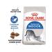 ROYAL CANIN Adult cat food living in room 400g - Buy Online on GoSupps.com