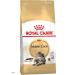 ROYAL CANIN Adult cat feed by Main Kun 400g - Buy Online on GoSupps.com
