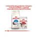 ROYAL CANIN Adult long -haired cats 2kg - Buy Online on GoSupps.com