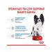 ROYAL CANIN Feed for miniature breed puppies 3kg - Buy Online on GoSupps.com