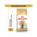 ROYAL CANIN British short -haired cat food 4 kg