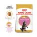 ROYAL CANIN Feed for kittens of the breed of Main Kun and other large rocks 2kg - Buy Online on GoSupps.com