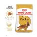 ROYAL CANIN Adult dog feeds breed cocker spaniel 3kg - Buy Online on GoSupps.com