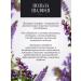 The Good Beekeeper Sage honey liquid 2 kg - Buy Online on GoSupps.com