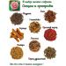 Camellia Tea Company Elite Ulun Tea "Strawberry with Cream" - Buy Online on GoSupps.com