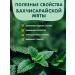 Herbs of the Crimean Mountains Tea in bags of mint grass 20 pcs our tea - Buy Online on GoSupps.com