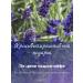 Premium lavender Lavender phytochai soothing herbal 200ml - Buy Online on GoSupps.com