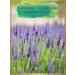 Premium lavender Lavender phytochai soothing herbal 200ml - Buy Online on GoSupps.com