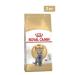 ROYAL CANIN British Shorthair Adult Feed Dry for Cats