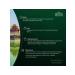 Ahmad Tea Green Tea green tea sheet 100g - Buy Online on GoSupps.com