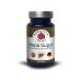 CeTeZ Hepagugull (Hepagull) Support Healthy liver