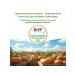 Hipp Vegetable "pumpkin" from 5 months 6x80g - Buy Online on GoSupps.com