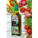 Business Oil Salad gas station fragrant oil in Balkan with oregano