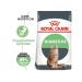 ROYAL CANIN Digestive 4kg cat food - Buy Online on GoSupps.com