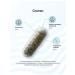Incoda Betulin + Cetraria Icelandic moss from coughing antiviral - Buy Online on GoSupps.com