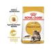 ROYAL CANIN Dry Main Coon 2kg 4kg - Buy Online on GoSupps.com