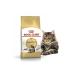 ROYAL CANIN Dry Main Coon 2kg 4kg - Buy Online on GoSupps.com