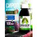Pharmgroup Bronchosyip syrup on herbs from coughing 100 ml