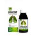 Pharmgroup Bronchosyip syrup on herbs from coughing 100 ml - Buy Online on GoSupps.com