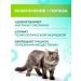 VEDA A delicacy with a cat's mint cheerful Moorer-r-rmalade 6 pcs - Buy Online on GoSupps.com