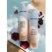 Grace and Stella Shampoo and balm Salusfant Gift set - Buy Online on GoSupps.com