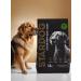STARDOGS Dry food for dogs of large beef breeds 13 kg - Buy Online on GoSupps.com