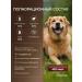 STARDOGS Dry food for dogs of large beef breeds 13 kg - Buy Online on GoSupps.com
