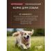STARDOGS Dry food for dogs of large beef breeds 13 kg - Buy Online on GoSupps.com