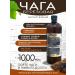 CHAGA FOOD Water -based fluid extract 12 1 1000 ml