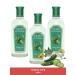new dawn Set of Lotion for the Facial "Cucumber" 100 ml. 3 pcs