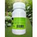 Eltab BAD ginkgo biloba vitamins for memory and brain 60 cap - Buy Online on GoSupps.com