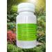 Eltab BAD ginkgo biloba vitamins for memory and brain 60 cap - Buy Online on GoSupps.com