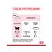 ROYAL CANIN Feed for kittens and cats dry Mother & Babycat 2 kg - Buy Online on GoSupps.com