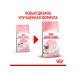 ROYAL CANIN Feed for kittens and cats dry Mother & Babycat 2 kg - Buy Online on GoSupps.com