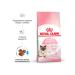 ROYAL CANIN Feed for kittens and cats dry Mother & Babycat 2 kg - Buy Online on GoSupps.com