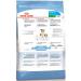 ROYAL CANIN Feed for puppies of small breeds of dry Mini Starter 1 kg - Buy Online on GoSupps.com