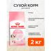 ROYAL CANIN Kitten Kitten 36 2 kg