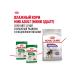 ROYAL CANIN Dry food for dogs of small breeds mini sterilized 3 kg - Buy Online on GoSupps.com