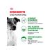 ROYAL CANIN Dry food for dogs of small breeds Mini Adult 0.8 kg - Buy Online on GoSupps.com
