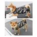 Dogs & Cats Popon postoperative for dogs - Buy Online on GoSupps.com