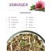 Herbs of the Crimean Mountains Echinacea grass phytochay dried herbal tea for immunity - Buy Online on GoSupps.com