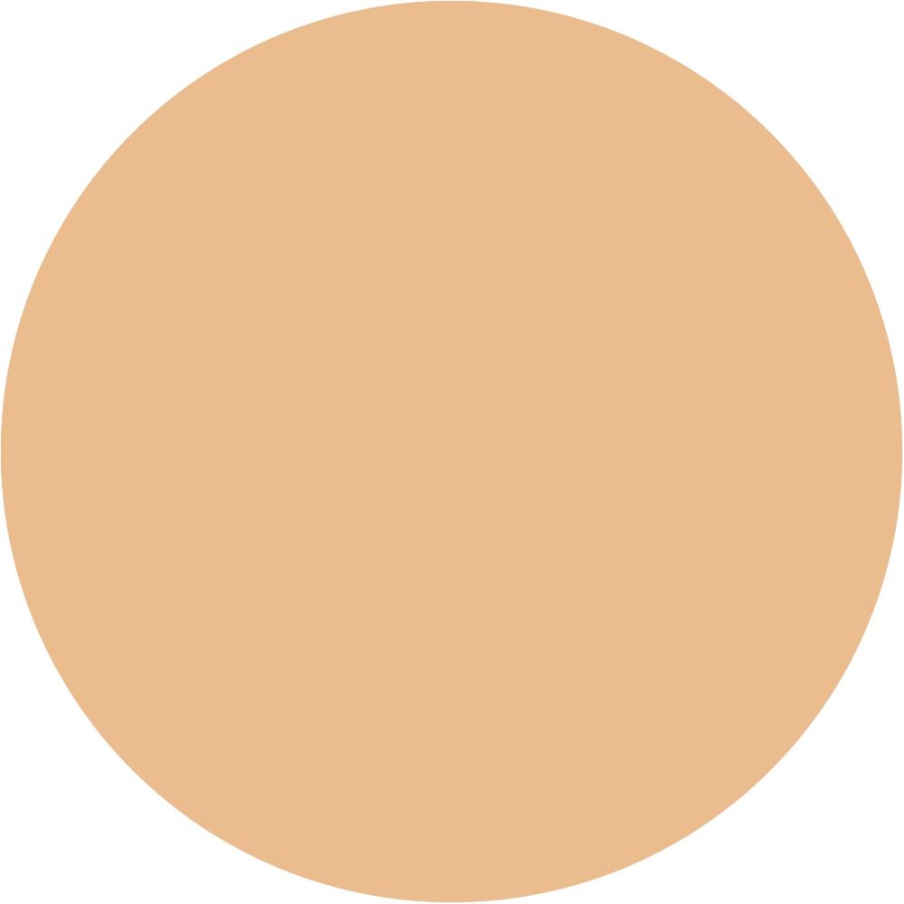 24N Light Neutral 1.0 oz
