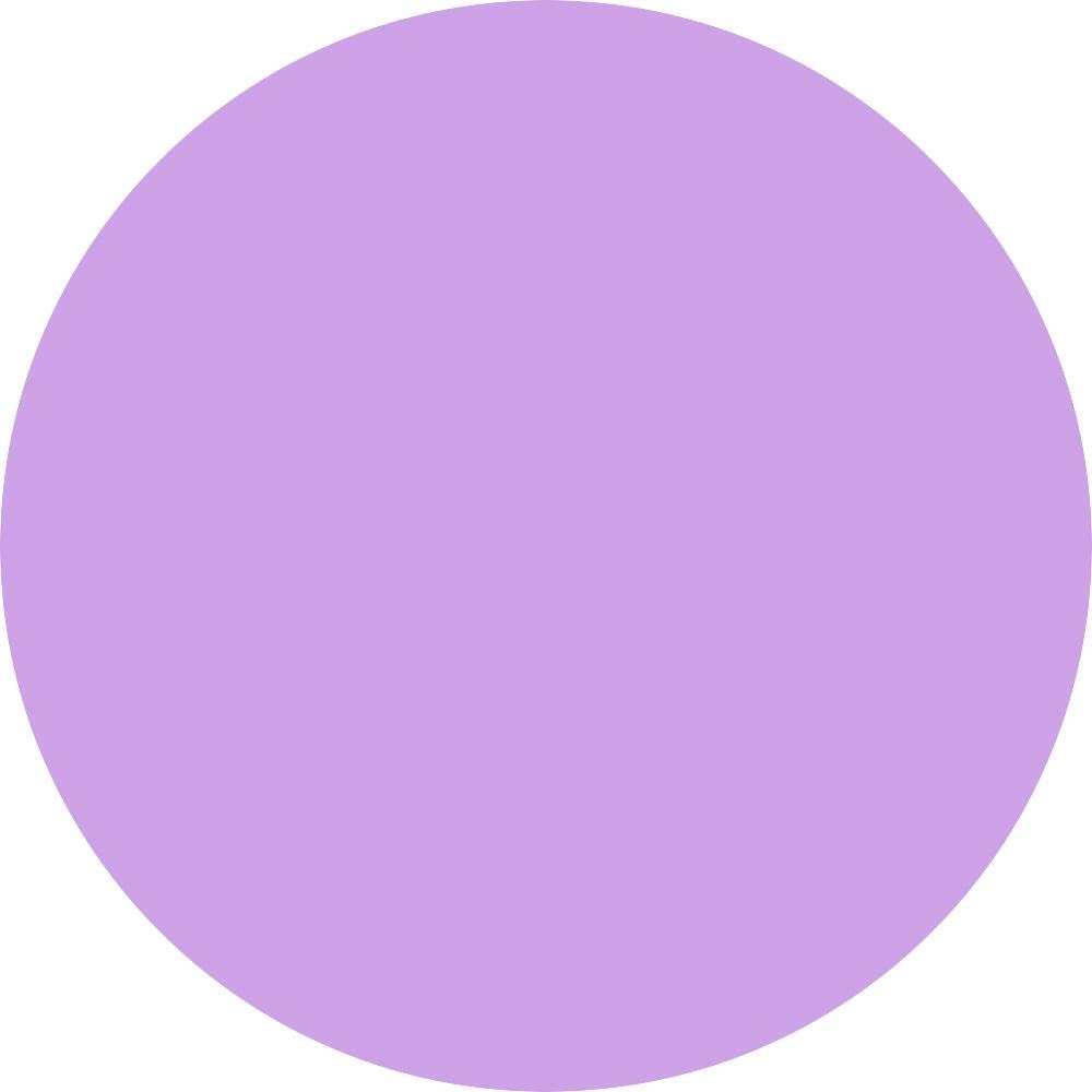 Lavender Fields