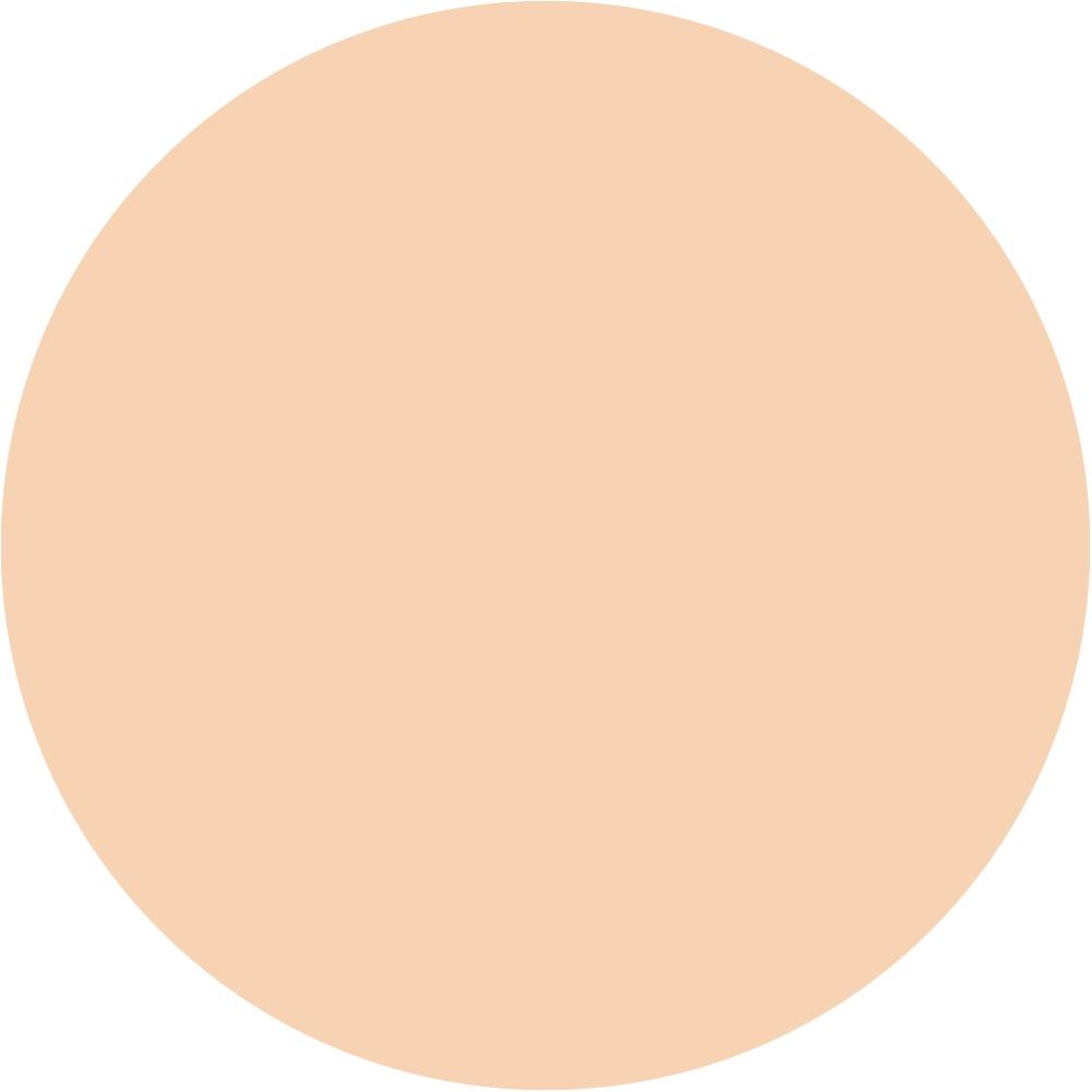16N Fair-Light Neutral 0.33 oz