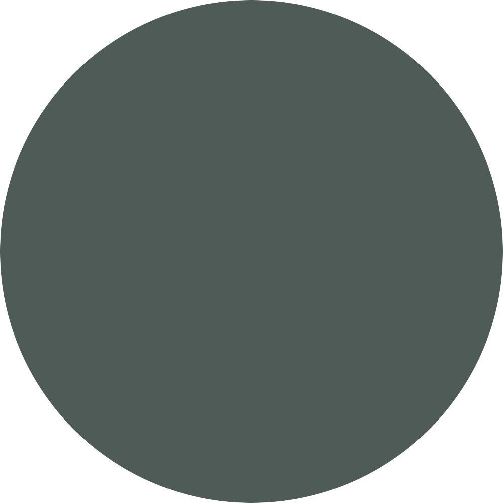 Olive Oil 0.04 oz